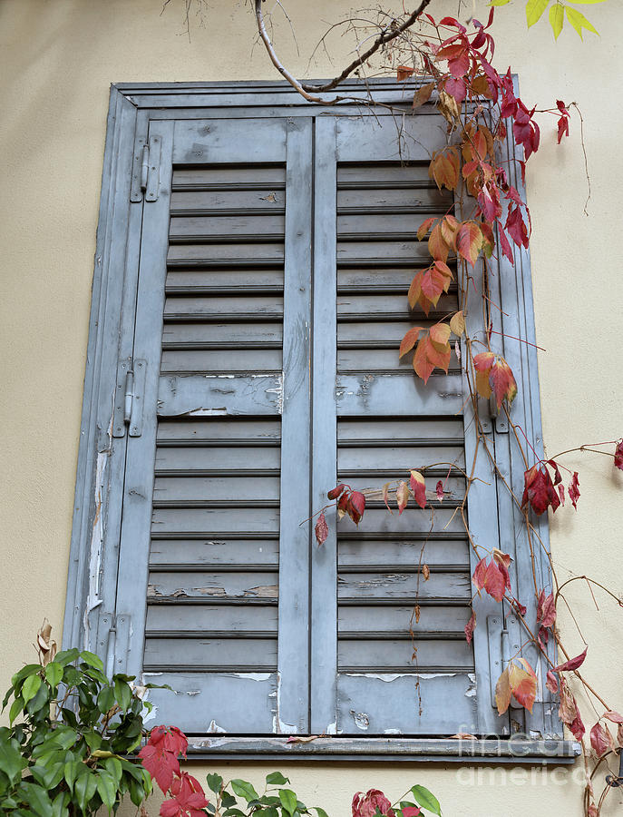 Window with traditional architecture in Plaka Photograph by George Atsametakis