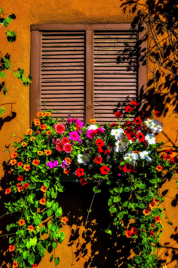 Windowbox Flowers Santa Fe Photograph by Garry Gay