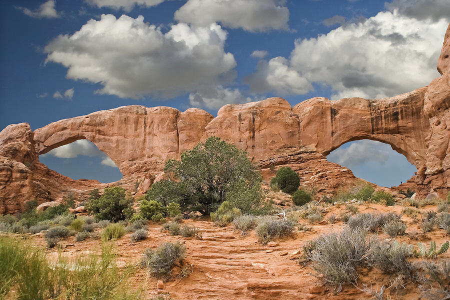 Windows At Arches Photograph by Wes and Dotty Weber