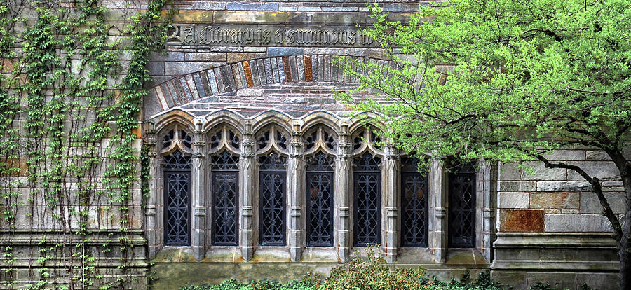 Windows At Yale University Photograph by Dave Mills