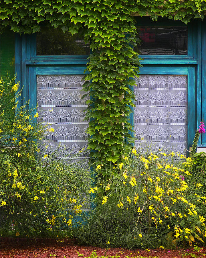 Windows - Brittany - France Photograph by Nikolyn McDonald