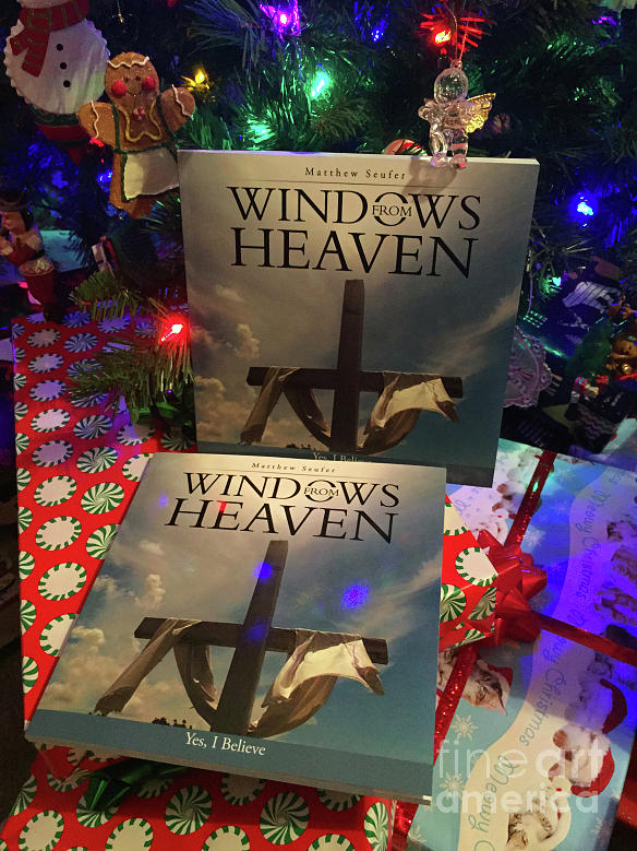 Windows From Heaven Christmas Photograph by Matthew Seufer