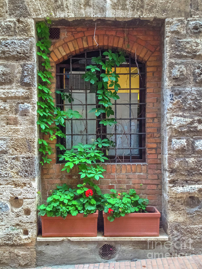 Windows In Italy Photograph by Libby Lord - Fine Art America