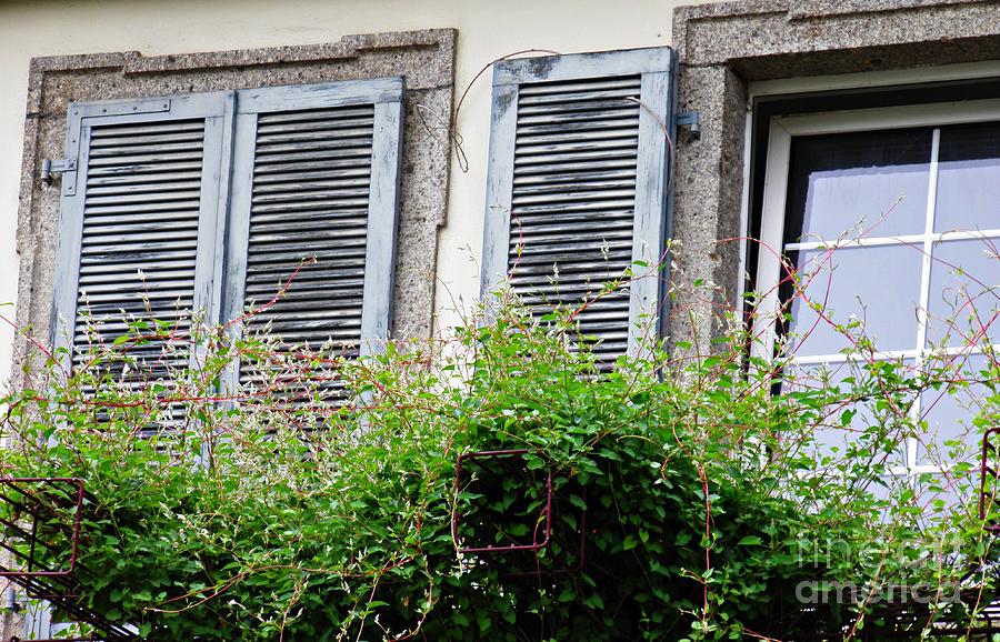 Windows in Rudesheim 2 Photograph by Sarah Loft