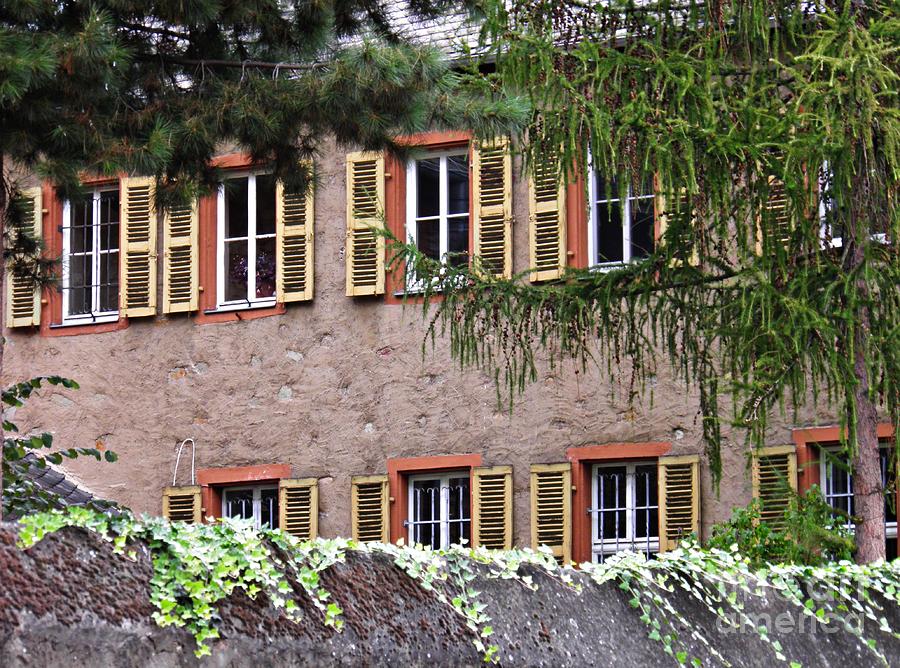 Architecture Photograph - Windows in Rudesheim by Sarah Loft