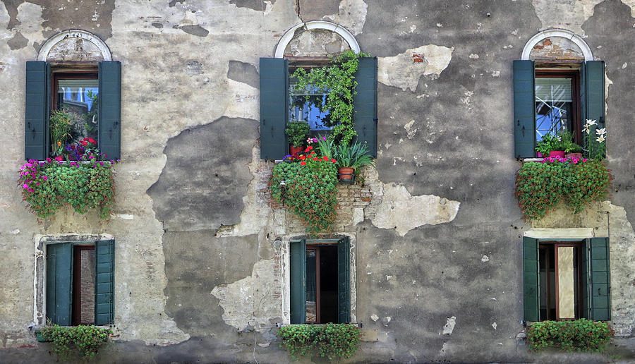 Windows in Venice Photograph by Dave Mills