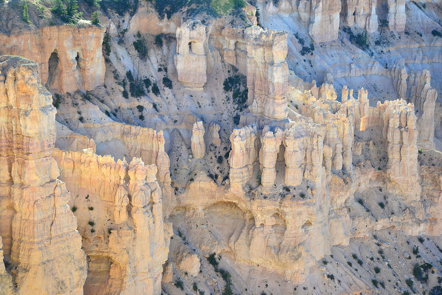 Windows of Bryce Canyon Photograph by Ray Mathis