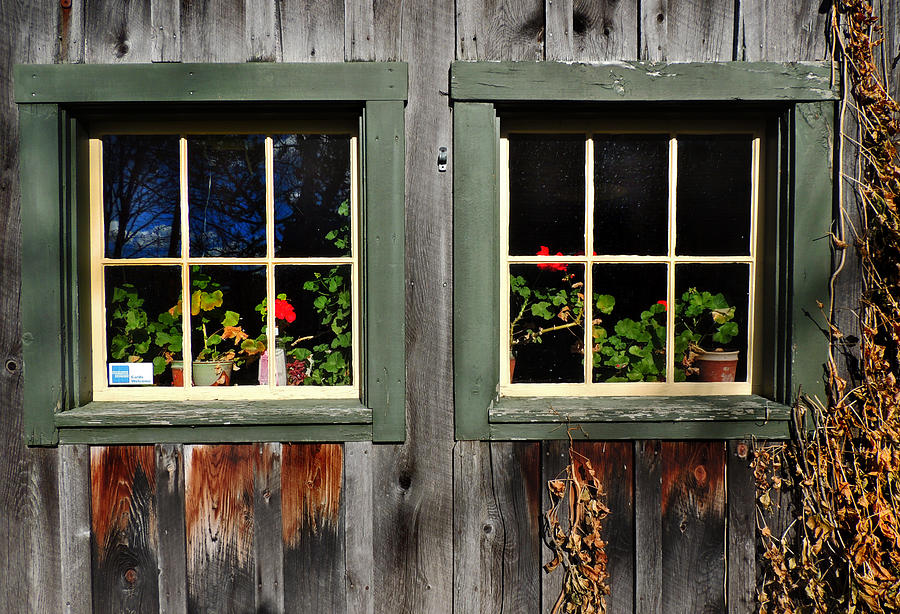 Windows of Vermont Photograph by Nancy Griswold