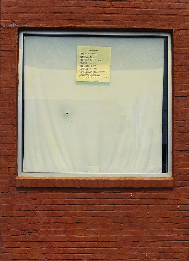 Brick Painting - Windowshade by James W Johnson