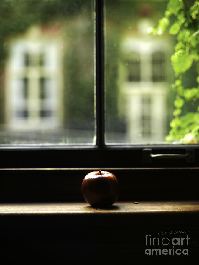Windowsill Apple Photograph by Craig J Satterlee