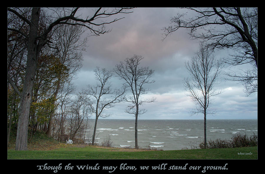Landscape Photograph - Winds May Blow by Rebecca Samler