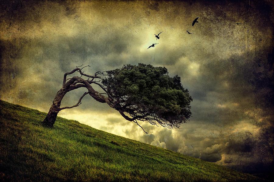 Winds Of Change Photograph by Peter Elgar