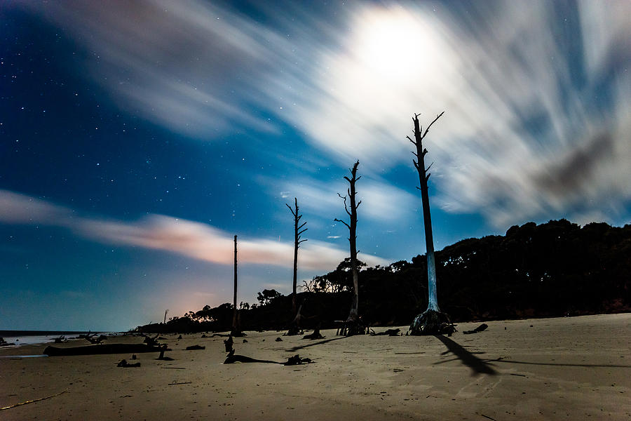 Winds of Driftwood Beach Photograph by Chris Bordeleau
