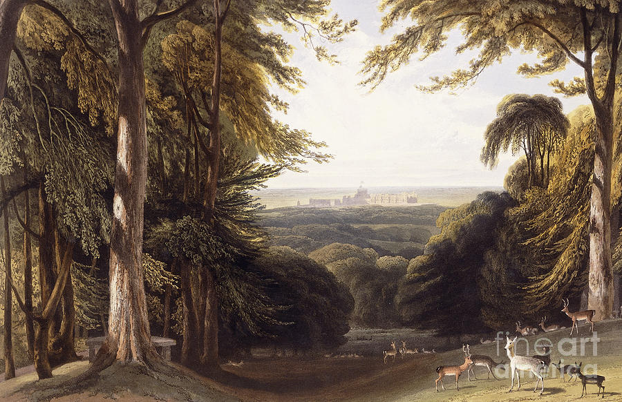Deer Painting - Windsor Castle from the Deer Park by William Daniell