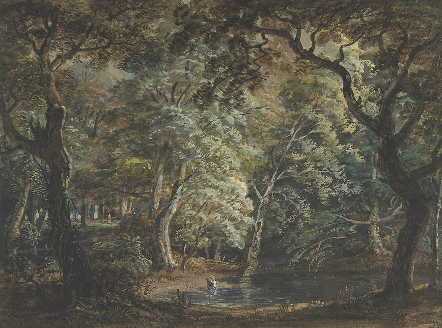 Windsor Great Park Drawing by Paul Sandby