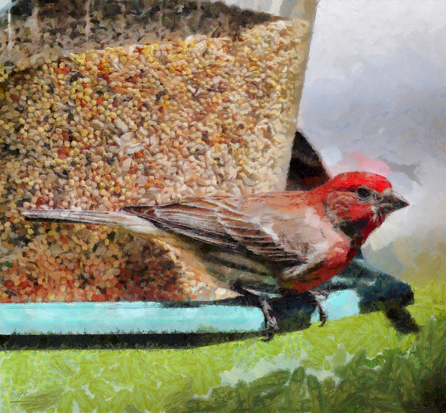 Finch Painting - Windsor House Finch by Theresa Campbell