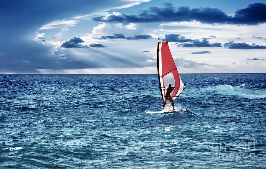 Windsurfer in the sea Photograph by Anna Om