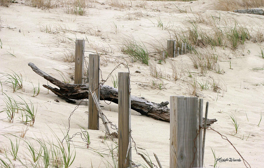 Windswept Beach Fence Cape Cod Massachusetts Photograph by Michelle Constantine