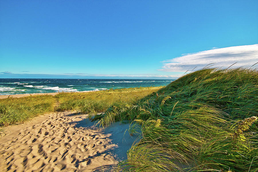 Windswept Beach Grass Photograph by Marisa Geraghty Photography