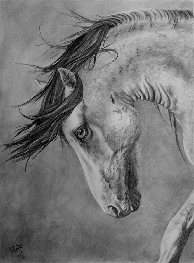 Horse Drawing - Windswept by Daniele Jones Horse Drawing - Windswept by Daniele Jones