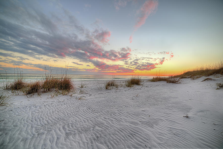 Sunset Photograph - Windswept Dunes in South Walton by JC Findley