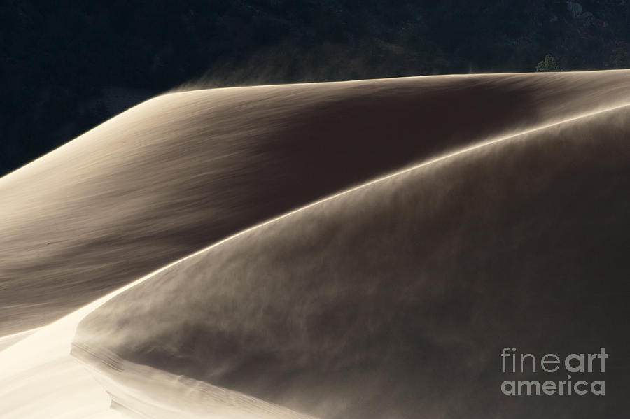 Windswept Dunes Photograph by Sandra Bronstein