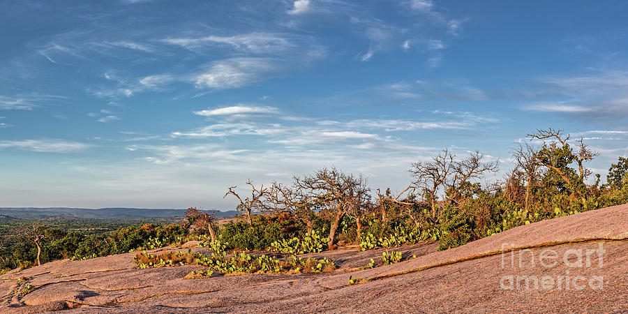 Windswept Landscape of Oaks and Prickly Pear Cacti Atop Enchanted Rock - Fredericksburg Texas  Photograph by Silvio Ligutti
