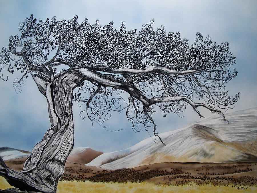 Windswept Painting by Mattie O