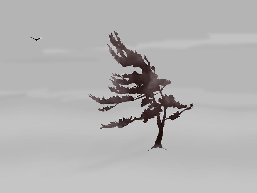 Windswept Pine Digital Art by Tony Kroll