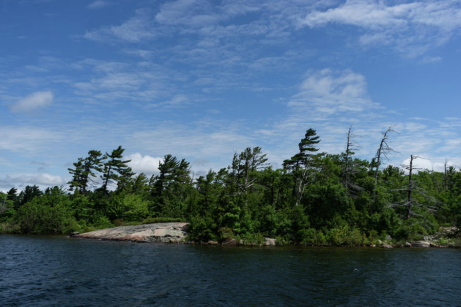 Windswept Pines - Georgian Bay Canadian Landscapes Photograph by Georgia Mizuleva