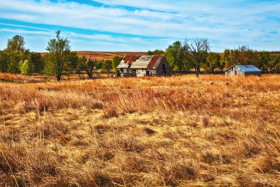 Windswept Prairie Barn Photograph by Anna Louise