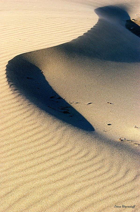 Windswept Photograph by Steve Warnstaff