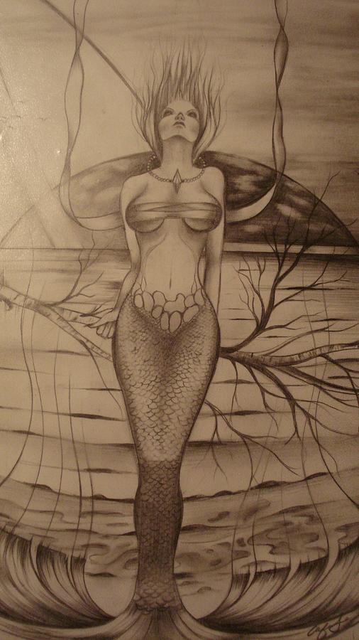 Mermaid Drawing - Windy by Alfonso Rangel