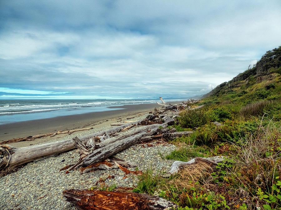 Windy Beach in Oregon Photograph by Michael Hope