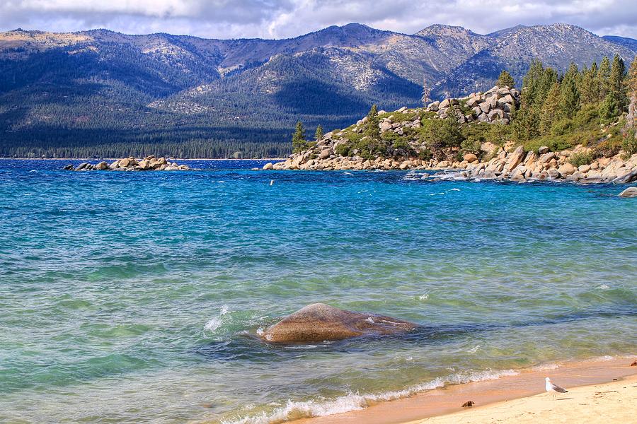 Seagull Photograph - Windy Day at Lake Tahoe by Donna Kennedy