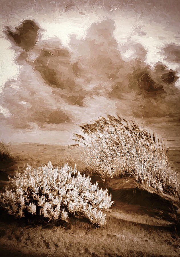 Windy Dunes at Sunrise AP Digital Art by Dan Carmichael