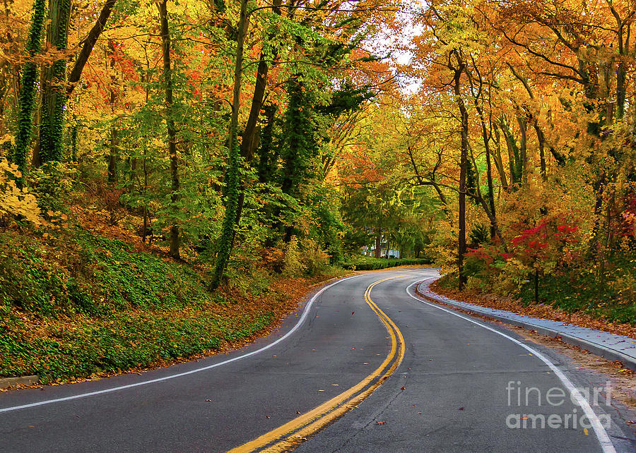 Windy Fall Road in New York Photograph by Alissa Beth Photography
