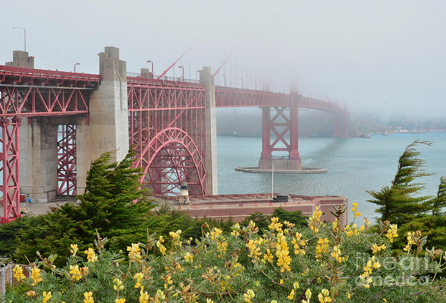 Windy Foggy Golden Gate Bridge  Photograph by Debby Pueschel
