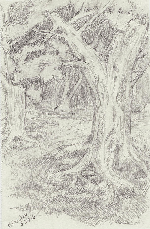 Nature Drawing - Windy Forest Path by Ruth Renshaw