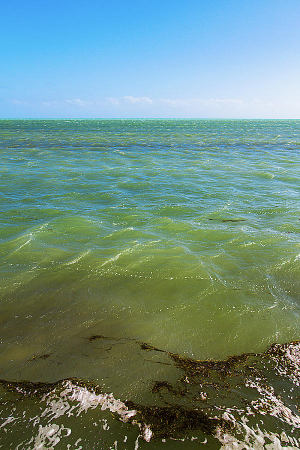 Windy Key West Seascape Photograph by Bob Slitzan