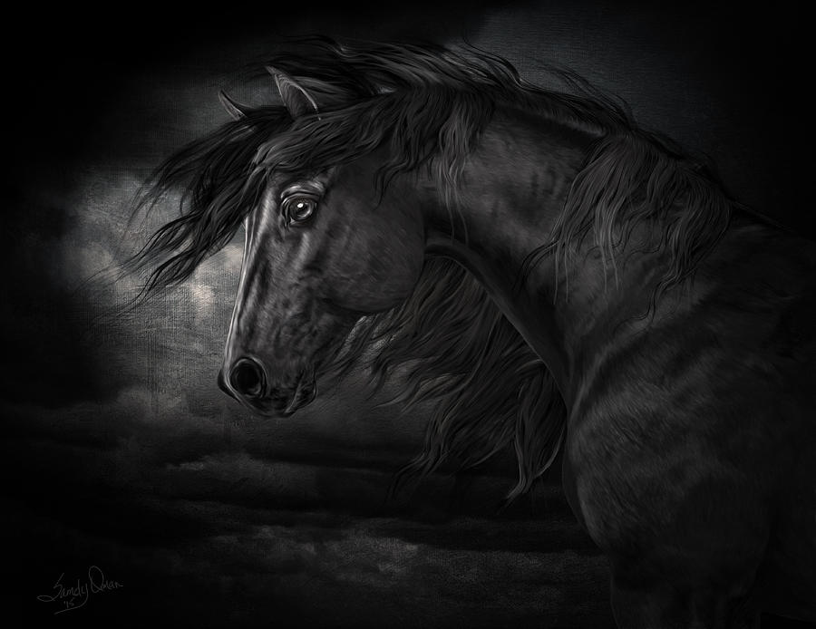 Horse Digital Art - Windy Night by Sandy Oman