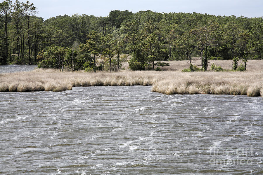 Windy Saltwater Marsh on Roanoke Island in North Carolina Photograph by William Kuta