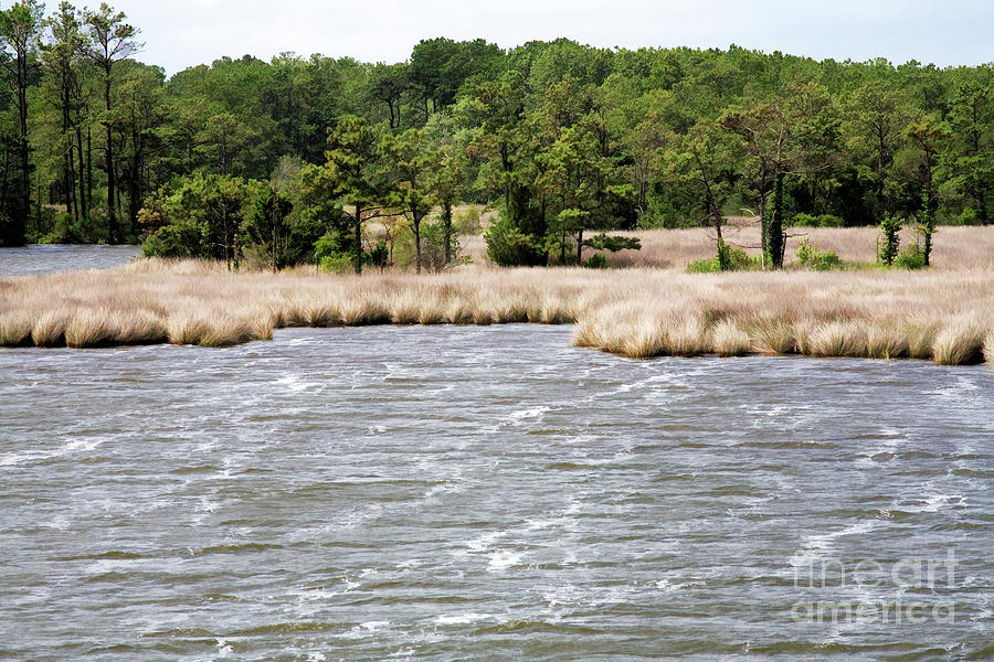 Windy Saltwater Marsh on Roanoke Island in North Carolina with digital effects Digital Art by William Kuta