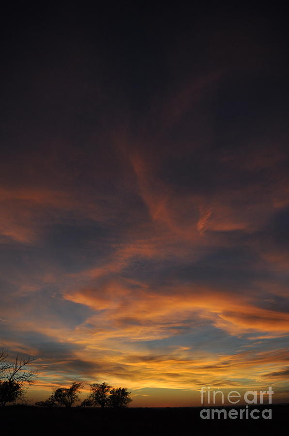 Sunset Photograph - Windy Skies by Anjanette Douglas