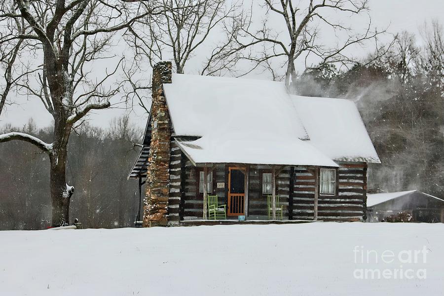 Windy Winter Day at the Cabin Photograph by Benanne Stiens