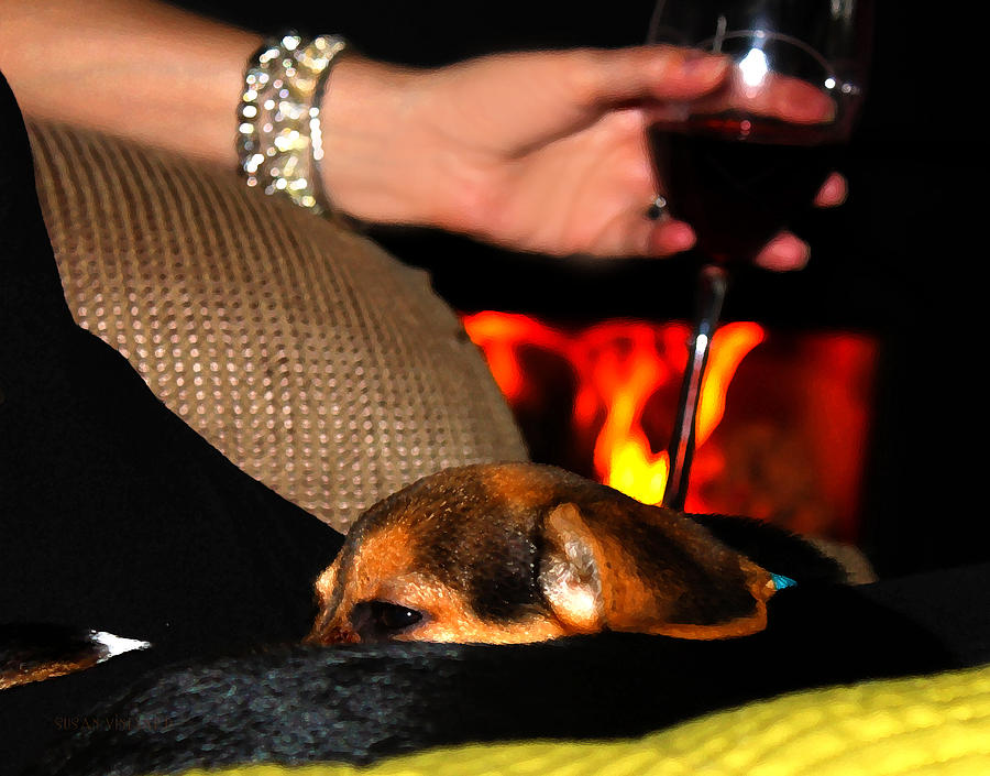 Wine and a Fire and a Dog Photograph by Susan Vineyard