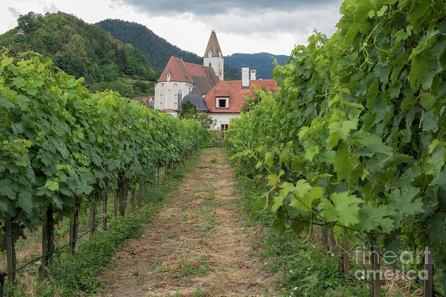 Wine and Church Photograph by Juli Scalzi
