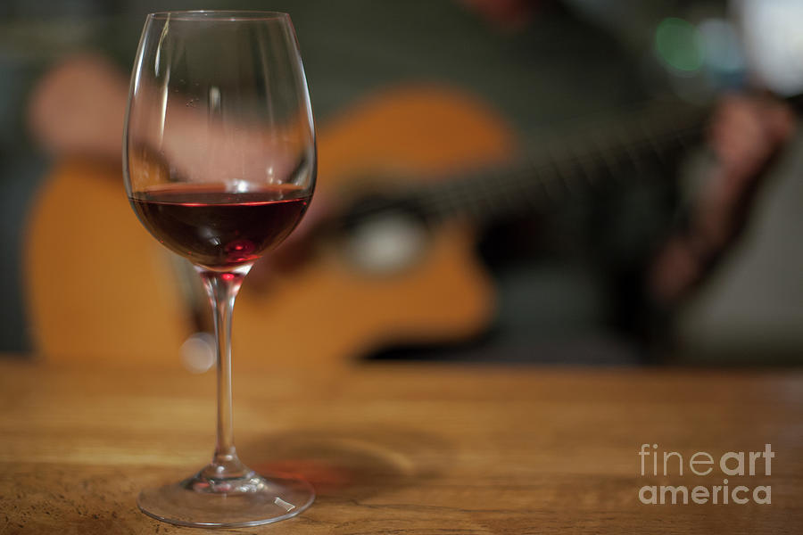 Wine and music Photograph by Patricia Hofmeester