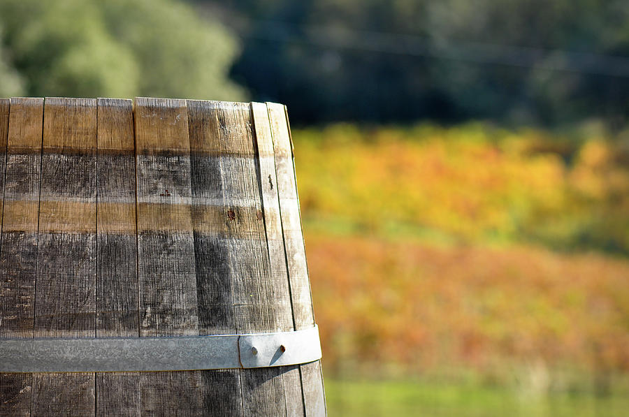 Wine Barrel in Autumn Photograph by Brandon Bourdages