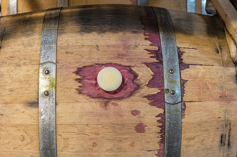 Wine Barrel Photograph by Mike Centioli